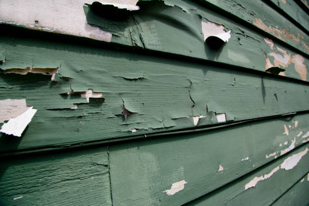 Best Storm Damage Siding Repair  in Placentia, CA