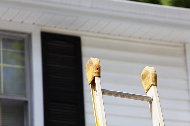 Best Fascia and Soffit Installation  in Placentia, CA