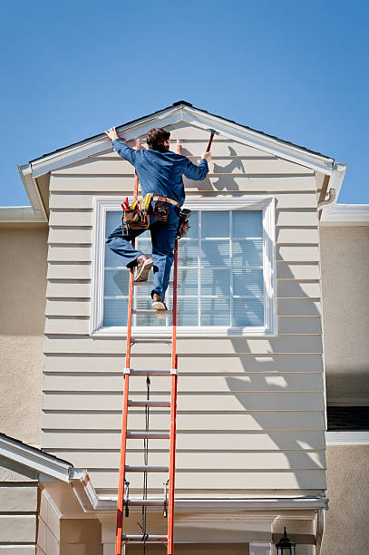 Best Steel Siding Installation  in Placentia, CA