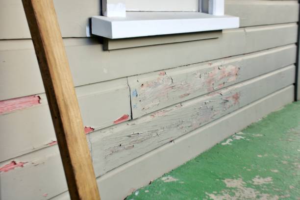Best Residential Vinyl Siding Installation  in Placentia, CA